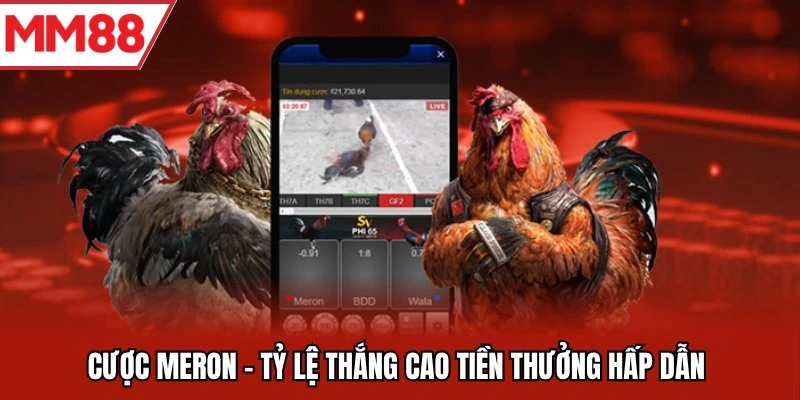 Cược Meron - Tỷ lệ thắng cao tiền thưởng hấp dẫn 