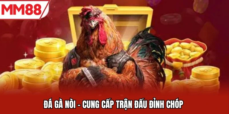 Đá gà nòi - Cung cấp trận đấu đỉnh chóp 