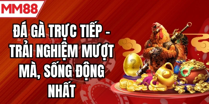 đá gà trực tiếp